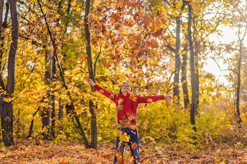 happy boy in a red sweater throws up an armful of yellow leaves in the autumn forest