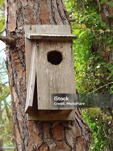 Birdhouse 구멍에 대한 스톡 사진 및 기타 이미지 - 구멍, 나무, 나무 껍질