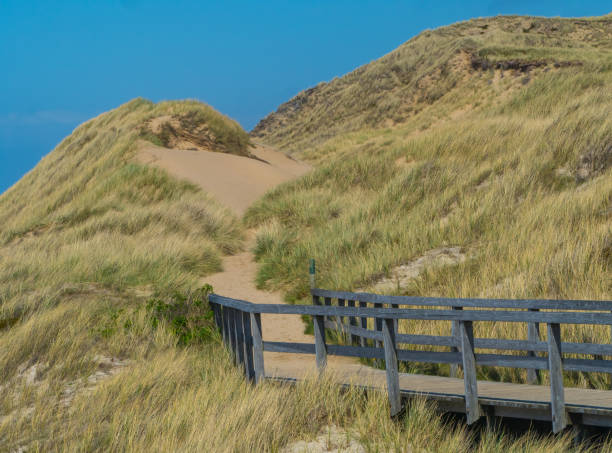 istock Bridge to Dune Landscape Red Cliff Sylt Germany 1399920753
