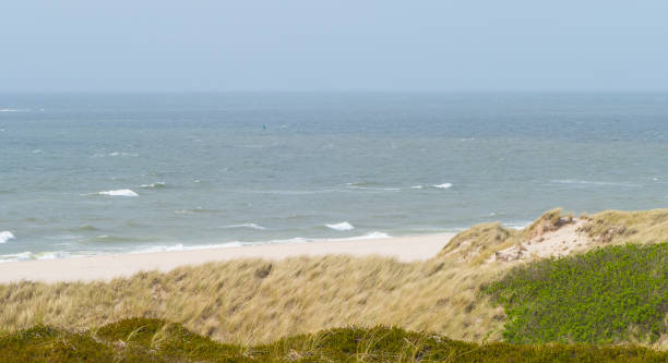 istock Seascape behind Dunes 1399920804