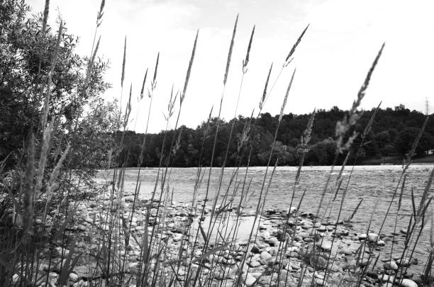 Ticino River in Oleggio Piedmont