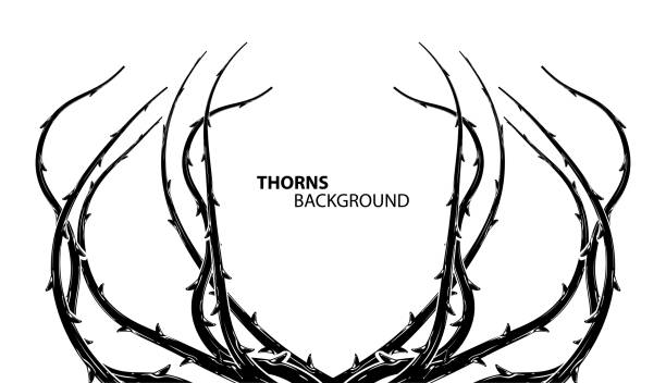 Abstract thorns horror background Blackthorn branches with thorns stylish endless background. Horror style horrible. Vector illustration. thorn stock illustrations