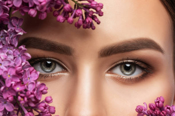 Beautiful eyes of a woman with make-up close-up.  makeup and healthy clean skin. Professional makeup concept stock photo