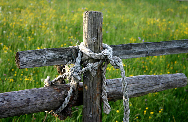 paddock valla - wooden post wood grass string fotografías e imágenes de stock