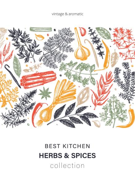 Herbs and spices vector card Hand-drawn herbs and spices vector card in color. Hand-sketched food illustration. Aromatic plant drawings. Kitchen herbs and spice frame template in sketched style for packaging, menu, banners cooking borders stock illustrations