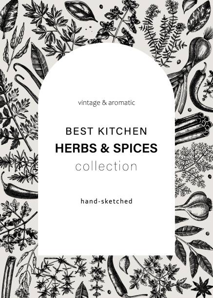illustrations, cliparts, dessins animés et icônes de carte vectorielle herbes et épices - anise seed fennel backgrounds