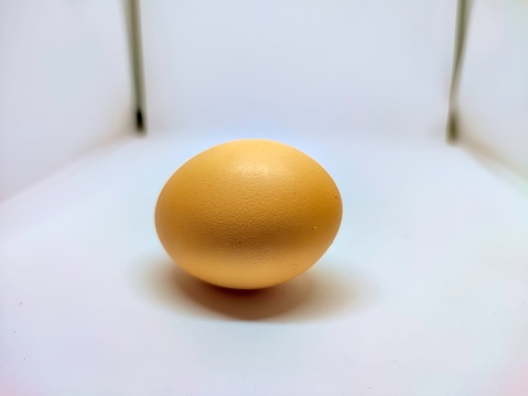 Closeup view and selective focus of fresh organic egg on a plain surface