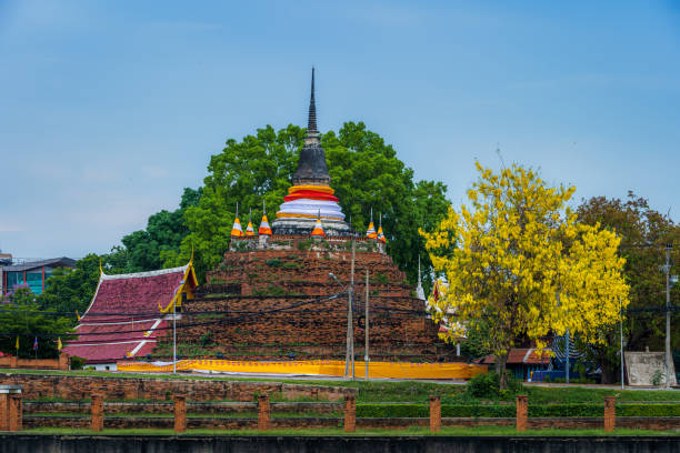 cassia fistula no parque em phra chedi luang in temple (wat ratchaburana) é um templo budista é uma grande atração turística do festival songkran e é um lugar público em phitsanulok - ratchaburana - fotografias e filmes do acervo