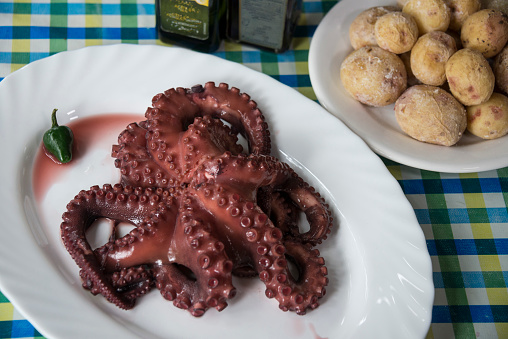 Octopus dish served with salad in Portugal
