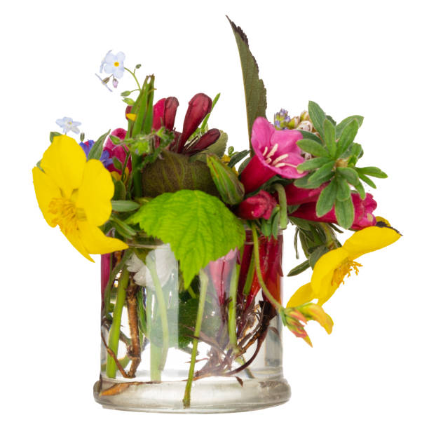 istock Field flowers, herbs in glass dish on white background. 1399930889