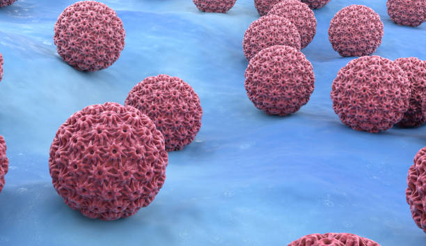 Human Papillomavirus (HPV) stock photo