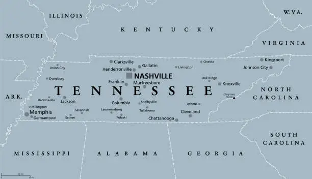 Vector illustration of Tennessee, TN, gray political map, US state, The Volunteer State