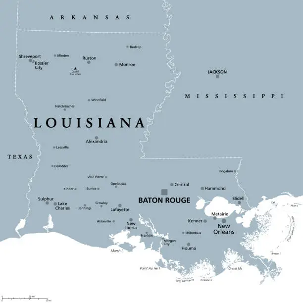 Vector illustration of Louisiana, LA, gray political map, US state, Pelican State