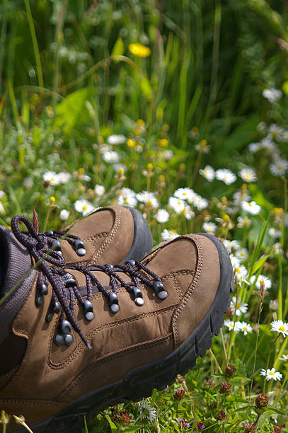 hiking boots stock photo