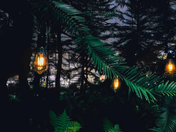 istock Dim orange bulbs in the garden 1399935987