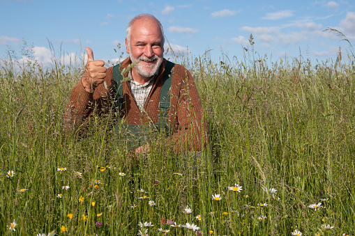 A friendly old farmer in his organically farmed meadow smiles at the camera and gives his thumbs up. Organic farming is better, it protects biodiversity, the soil and keeps the climate impact low.