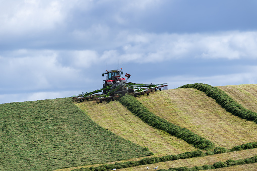 Castle Douglas, Scotland, UK - May 29, 2022: A tractor pulling a rake to place freshly cut grass in rows before it is collected by a self-propelled forage harvester. The grass will be taken to the farm and used to produce silage that will feed cattle during the winter months.