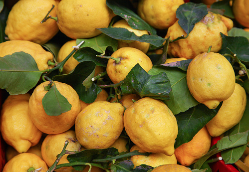 Fresh lemons on the market in italy, Amalfi Coast, Campania, Italy