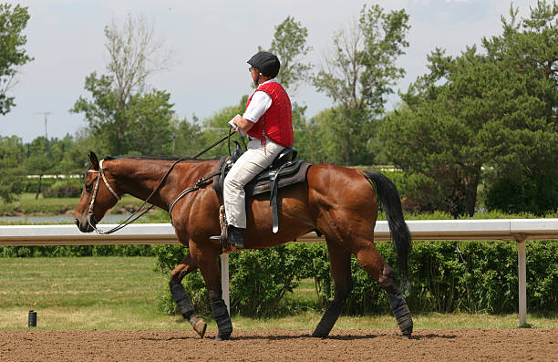 istock Horse and Rider 139994000
