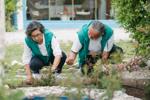 istock Retired Active Seniors gardening 1399941319