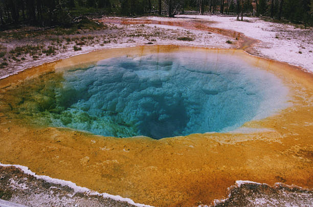 Morning Glory piscina - foto de acervo