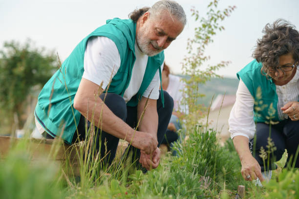 istock Retired Active Seniors gardening 1399942614
