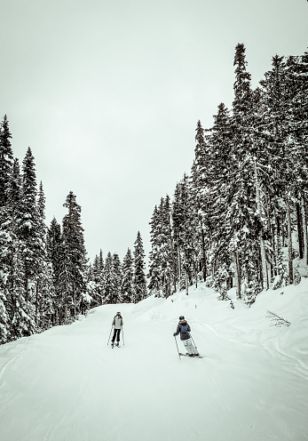 People skiing in forest in winter