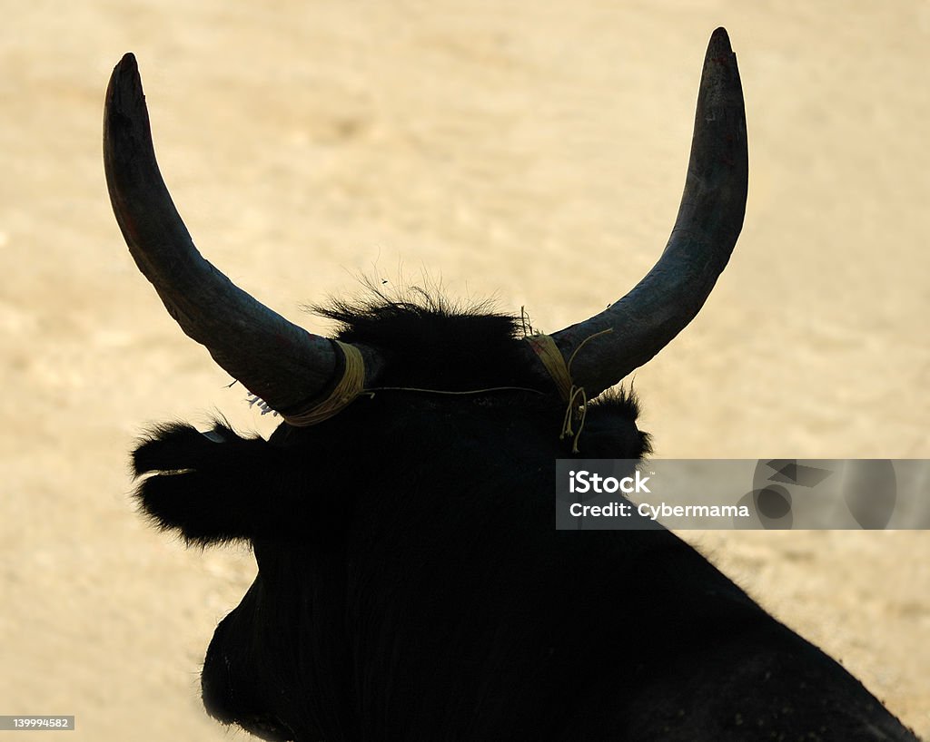 Bull's chifres silhueta - Foto de stock de Camargue royalty-free