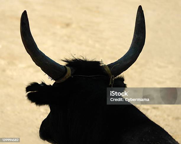 Foto de Bulls Chifres Silhueta e mais fotos de stock de Camargue - Camargue, Touro - Animais Machos, Animal