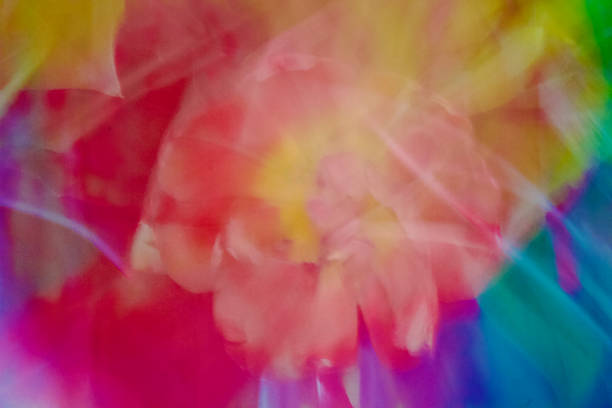 Bold Colours,Nature, Abstract flowers,rainbow