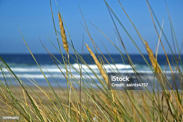 Costa Pacifica - Fotografie stock e altre immagini di Acqua - Acqua, Ambientazione esterna, Ambientazione tranquilla