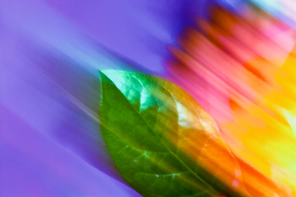Full color swatch of color, abstract flowers in nature