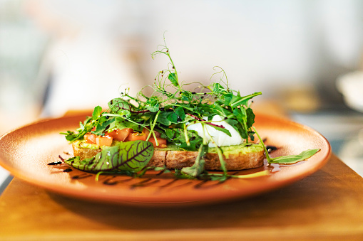 Bruschetta with mozzarella and micro greens