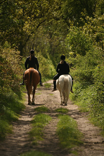 couple of horse riders on a path in the woods - foto’s van aarde stockfoto's en -beelden