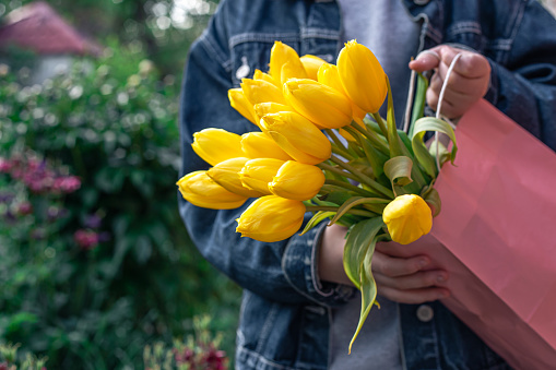 Close-up, a bouquet of yellow tulips in a pink paper bag in the hands of a little girl.