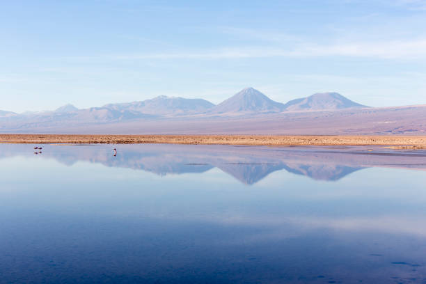 istock View of Chaxa lagoon during winter 1399950302