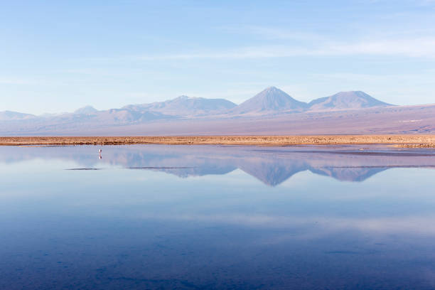 istock View of Chaxa lagoon during winter 1399950311