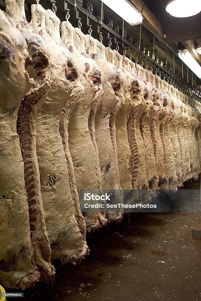 Montaje de carne de res cadáver - Foto de stock de Alimento libre de derechos