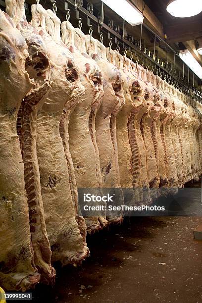 Pendurar Estrutura De Carne De Vaca - Fotografias de stock e mais imagens de Comida - Comida, Segurança, Balançar