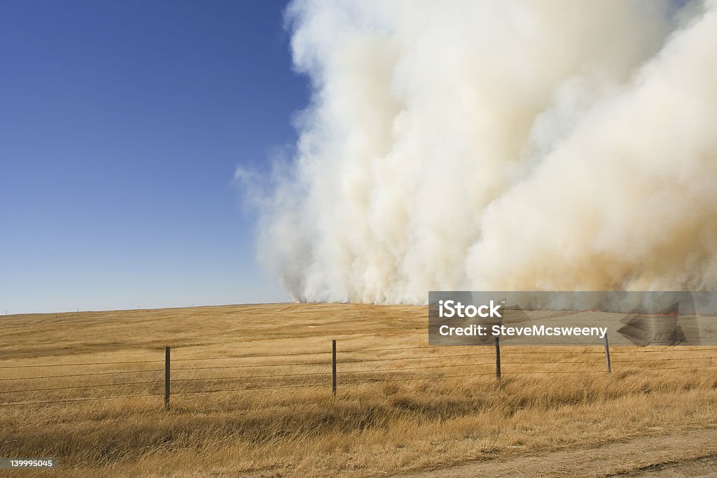 prairie flaMB. - Photo de Accident bénin libre de droits