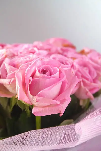 Bouquet of pink roses, close-up