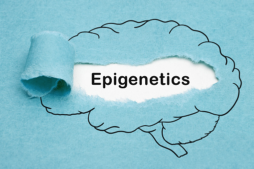 Word Epigenetics appearing behind ripped blue paper in drawn human brain. Developmental Psychology or Biology concept.