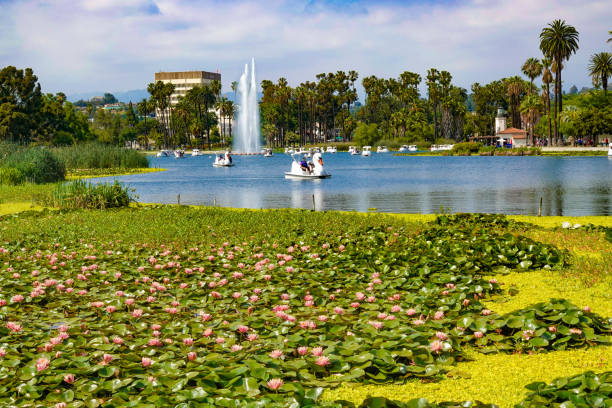 istock Relaxing Day At the Park 1399954233