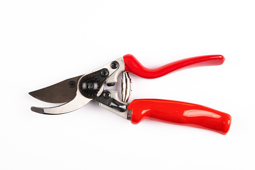 Kitchen scissors of black plastic isolated on a white background. with Clipping path.