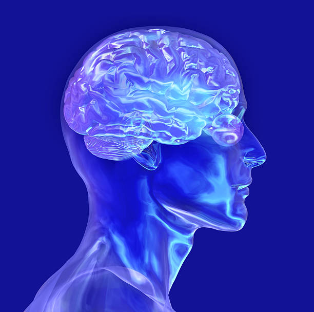 istock Glass Male Head with Brain - includes clipping path 139995635