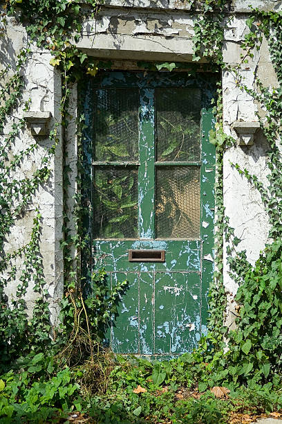 Neglected Doorway stock photo