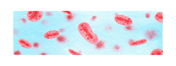 blauer hintergrund mit virionen von viren und affenpockenvirionen - zoster stock-grafiken, -clipart, -cartoons und -symbole