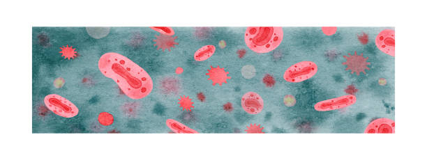 background with virus and monkeypox virions Watercolor banner or pattern with virus cells or red monkeypox virions on grey background. Medicine, pandemic end virology mpox stock illustrations