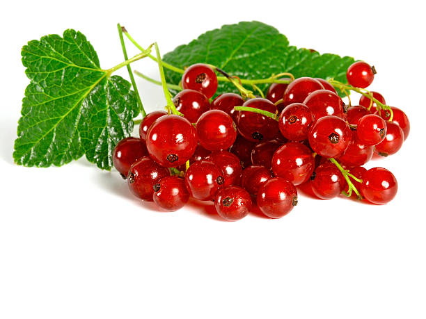 Frutas de Verão: Groselha vermelha - fotografia de stock