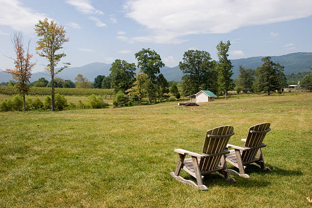 istock Adirondack Vienyard View Chair 139995855